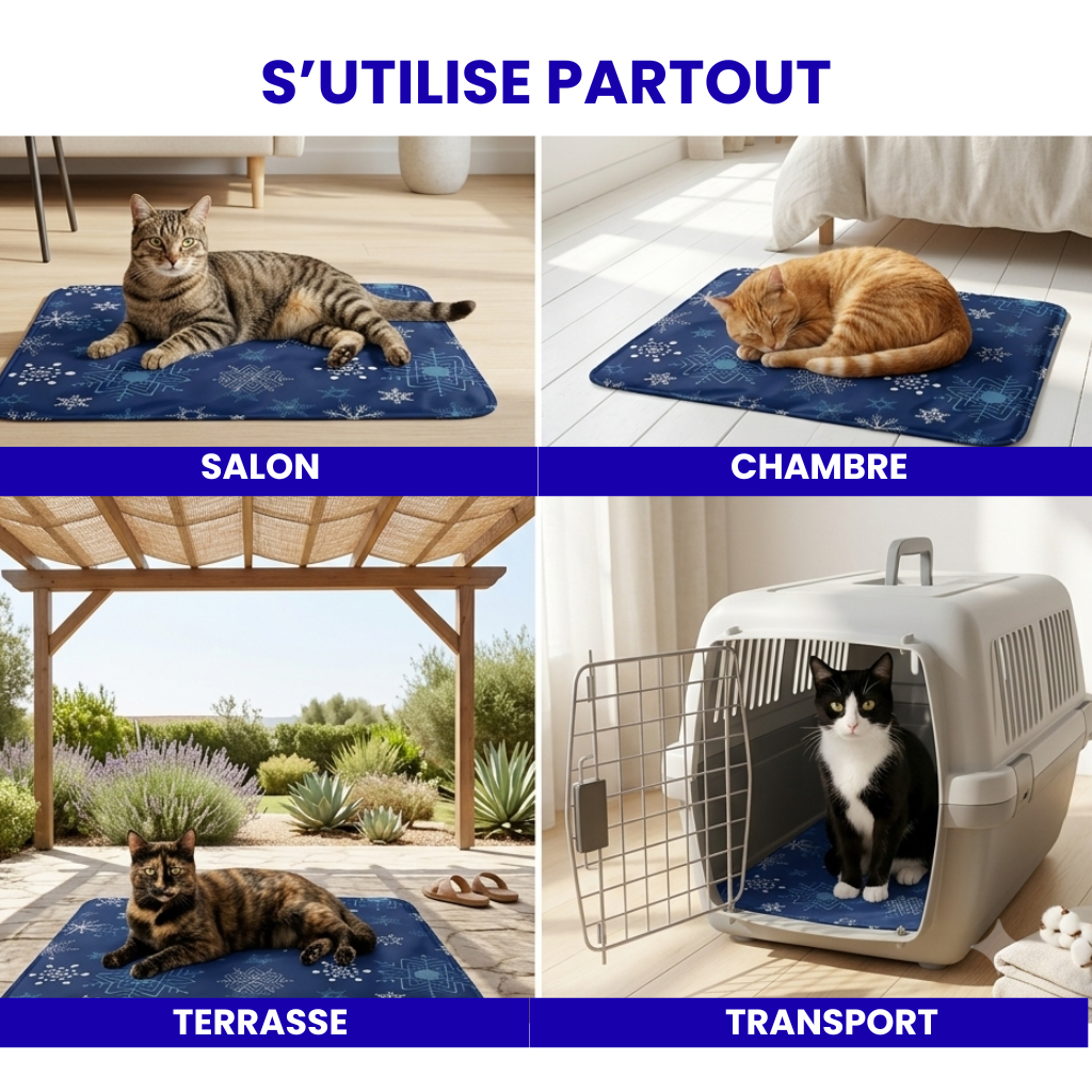 Tapis rafraîchissant chat